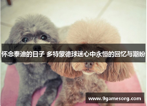 怀念泰迪的日子 多特蒙德球迷心中永恒的回忆与期盼