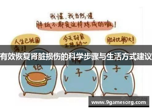 有效恢复肾脏损伤的科学步骤与生活方式建议
