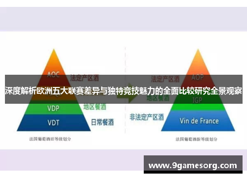 深度解析欧洲五大联赛差异与独特竞技魅力的全面比较研究全景观察